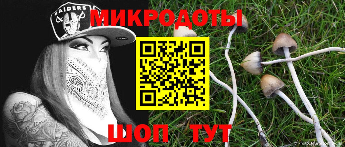 Псилоцибиновые грибы мухоморы  как найти   Галлюциногенные грибы MAGIC MUSHROOMS  Зеленогорск  Вход с VPN 